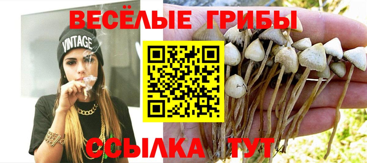 Белая Калитва  Псилоцибиновые грибы мухоморы  Вход с VPN 